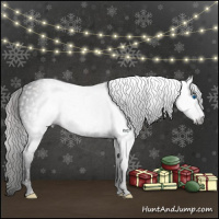 Horse Color:Gray Void Silver Classic Champagne Splash Tobiano 