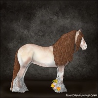 Horse Color:Bay Ice Pearl Onyx 