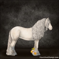 Horse Color:Palomino Ice Pearl