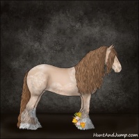 Horse Color:Bay Ice Roan Pearl 