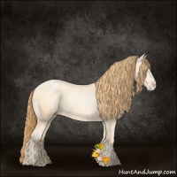Horse Color:Buckskin Ice Pearl 
