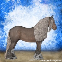 Horse Color:Silver Black Sabino