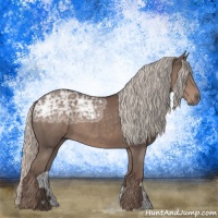 Horse Color:Silver Black Ice 