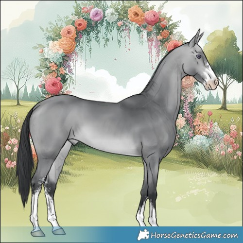 Horse Color:Bay Chinchilla Sabino 