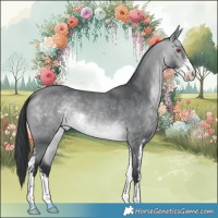 Horse Color:Bay Chinchilla Sabino