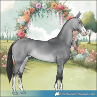 Horse Color:Bay Chinchilla Sabino 