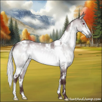 Horse Color:White Spotted Chocolate Silver Brown Chinchilla 