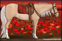 Horse Color:Silver Classic Champagne Rabicano