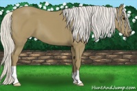 Horse Color:Silver Smoky Black 