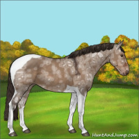 Horse Color:Liver Red Dun Ice Tobiano 
