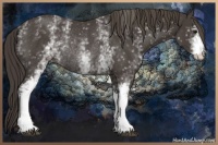 Horse Color:White Spotted Smoky Black Rabicano