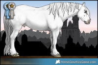 Horse Color:Black Sabino Splash Frame
