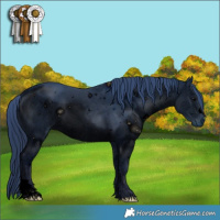 Horse Color:ERROR: UNKNOWN ANOMALY