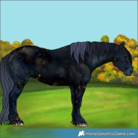 Horse Color:ERROR: UNKNOWN ANOMALY
