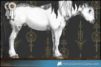 Horse Color:Black Sabino Frame