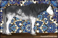 Horse Color:White Spotted Black Splash