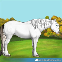 Horse Color:White Spotted Smoky Creme Ice Rabicano 