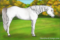 Horse Color:Gray Platinum Liver Red Onyx 