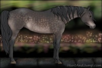 Horse Color:Platinum Brown 