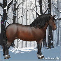Horse Color:Brown Appaloosa