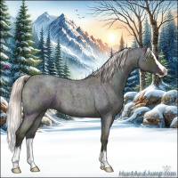 Horse Color:Midnight Silver Classic Champagne Ice Roan Dun Splash 