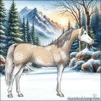 Horse Color:Silver Classic Champagne Ice Dun Splash