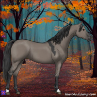 Horse Color:Grullo 