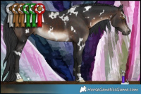 Horse Color:White Spotted Brown