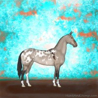 Horse Color:Brown Dun Appaloosa 