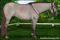 Horse Color:Chocolate Smoky Grullo Chinchilla Rabicano