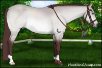 Horse Color:Chocolate Buckskin Chinchilla 