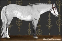 Horse Color:Silver Smoky Grullo Chinchilla