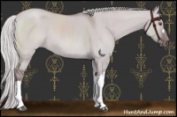 Horse Color:Chocolate Silver Smoky Grullo Chinchilla 