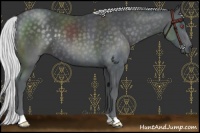 Horse Color:Silver Black Chinchilla 