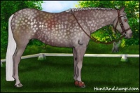 Horse Color:Chocolate Silver Black Chinchilla 