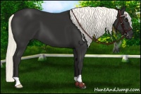 Horse Color:Liver Chestnut Mushroom 