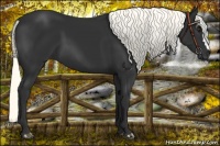 Horse Color:Liver Chestnut Mushroom 
