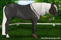 Horse Color:Liver Chestnut Mushroom 