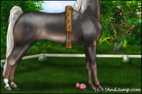 Horse Color:Liver Chestnut Mushroom 