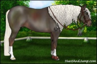 Horse Color:Liver Chestnut Mushroom 