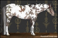 Horse Color:Platinum White Spotted Liver Chestnut Near Leopard 