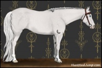 Horse Color:Platinum Cremello 