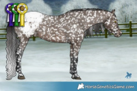 Horse Color:Brown Dun Blanket Rabicano Brindle 