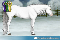 Horse Color:Brown Dun Appaloosa Rabicano Brindle 