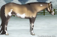 Horse Color:Smoky Blue Onyx Frame