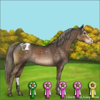 Horse Color:Liver Chestnut Mushroom Sabino Appaloosa 