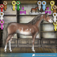 Horse Color:Liver Chestnut Mushroom Sabino 