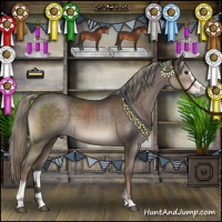 Horse Color:Liver Chestnut Mushroom Sabino 