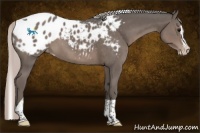Horse Color:Silver Black Splash Tobiano Blanket 