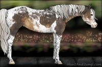 Horse Color:Silver Smoky Black Splash Tobiano Appaloosa 